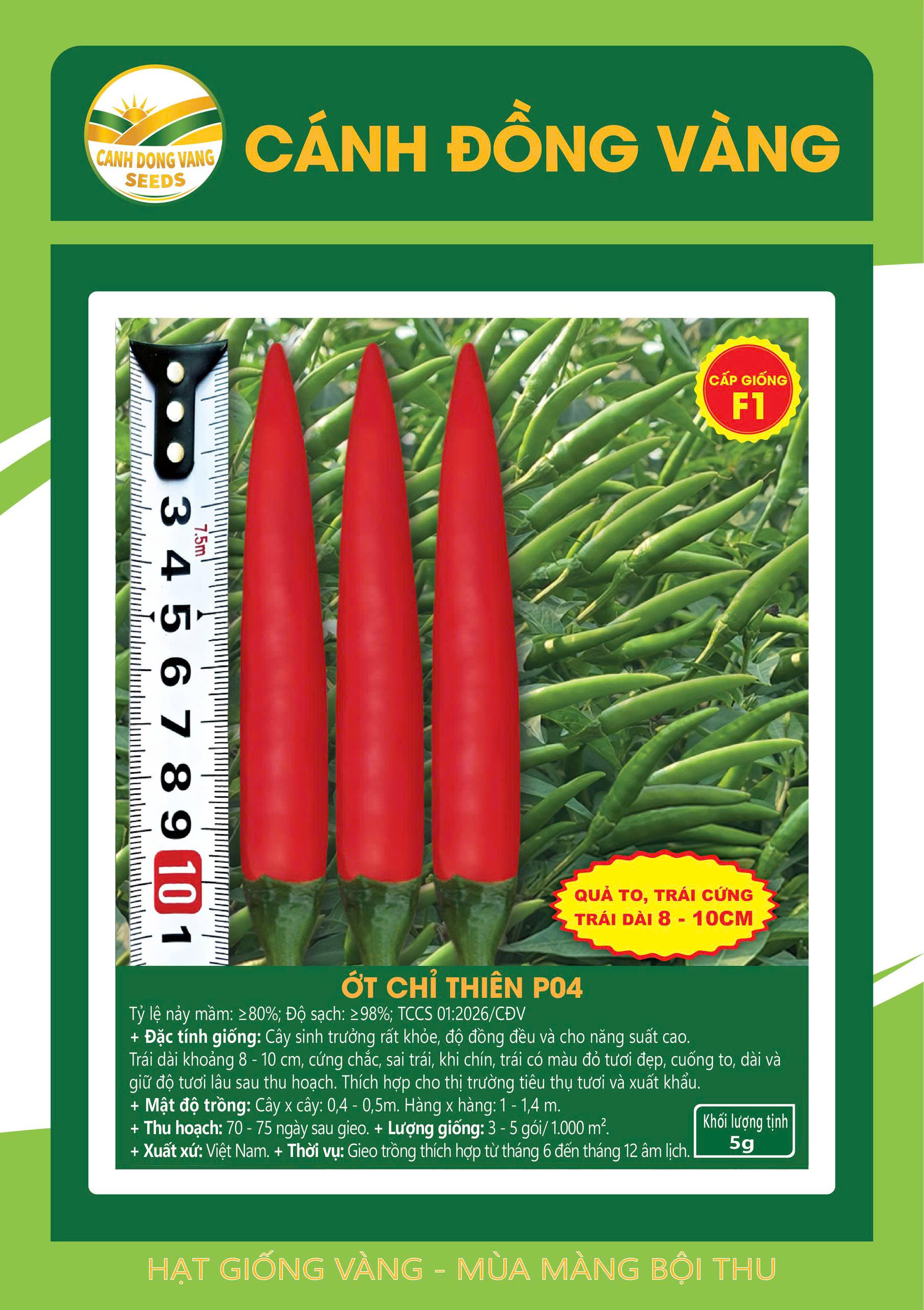 ỚT CHỈ THIÊN P04